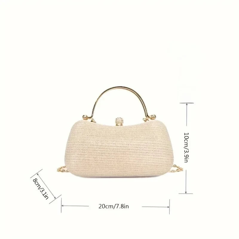 Gold Chain Evening Bag