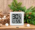 Elektronisches Digitalthermometer und Hygrometer